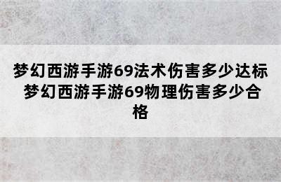 梦幻西游手游69法术伤害多少达标 梦幻西游手游69物理伤害多少合格